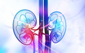 Zytoprotec's Novel Dialysis Product Meets Both Endpoints in Phase II Study