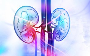 Zytoprotec Phase-II-Studie Peritonealdialyse: Letzter Patient entlassen