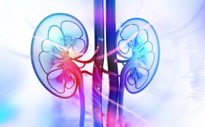 Zytoprotec Phase II Peritoneal Dialysis Study: Last Patient Out
